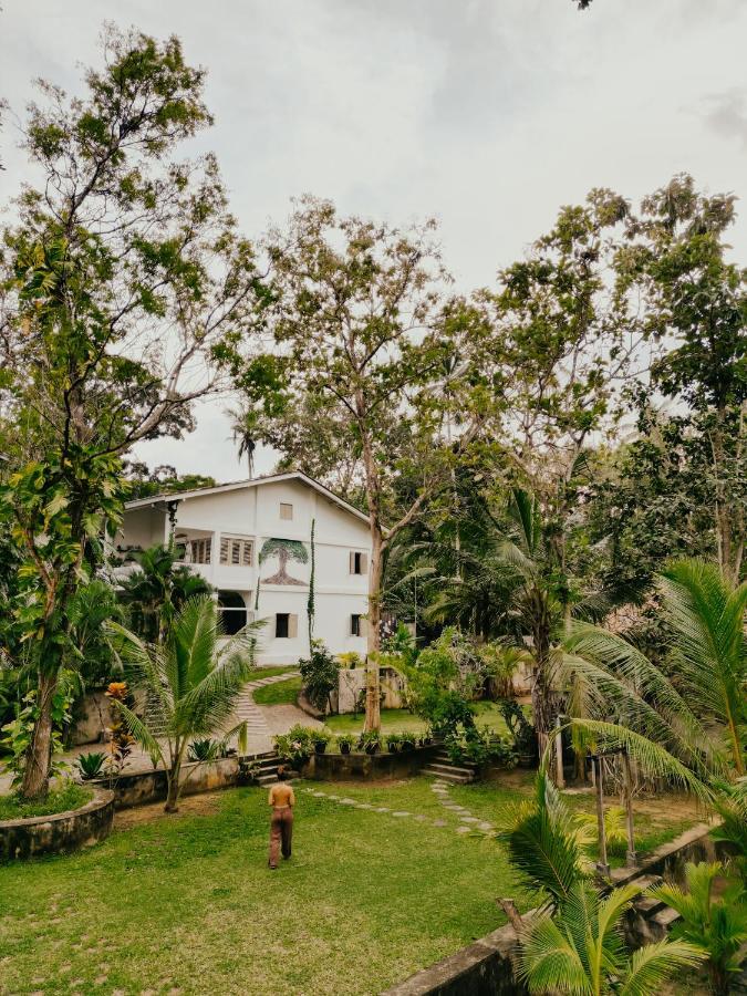 Hotel Kirinuga Boutique Retreat à Tangalle Extérieur photo